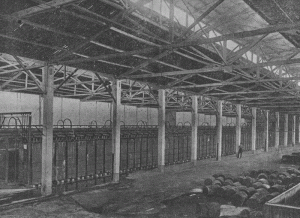 la sala degli elettrolizzatori fauser 1926